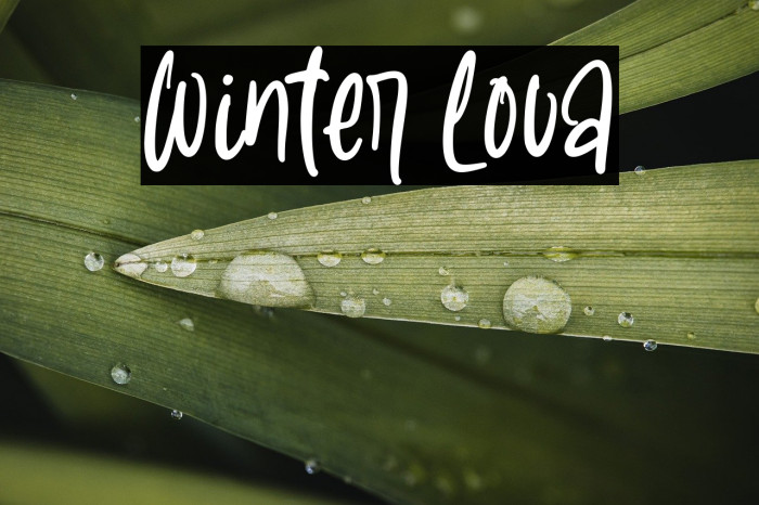 Winter Lova Example 1