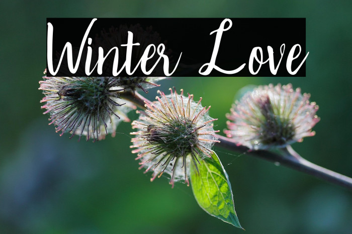 Winter Love Example 1