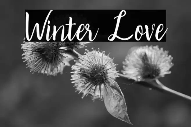 Winter Love Font examples