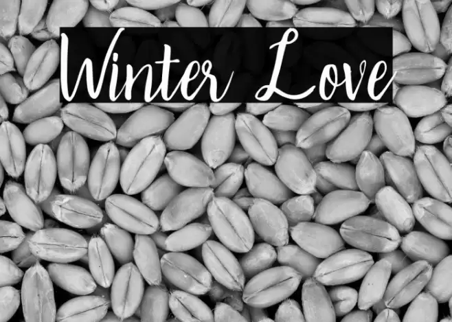 Winter Love Font examples