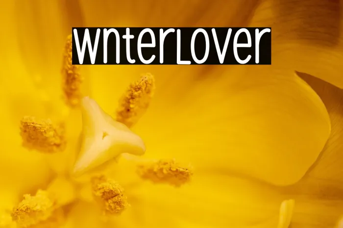 Winter Lover Example 2