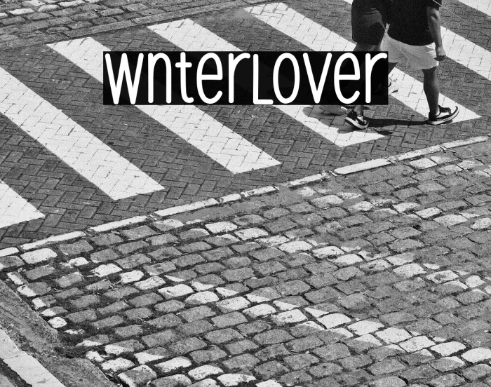 Winter Lover Example 3