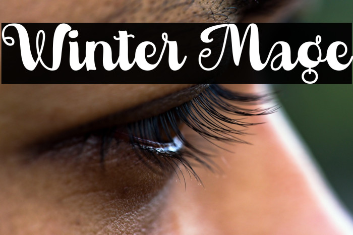 Winter Mage Example 1