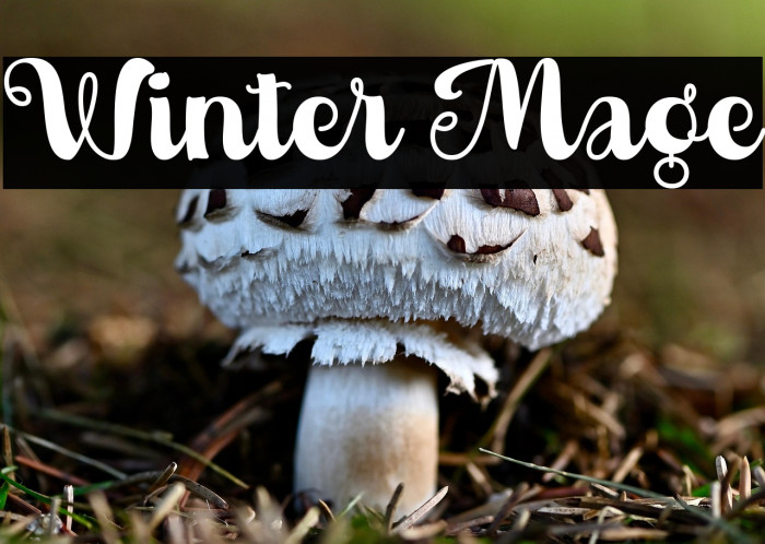 Winter Mage Example 2