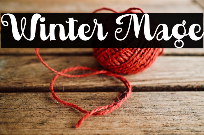 Winter Mage Example 3