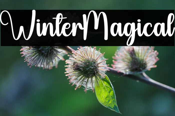 Winter Magical Example 1