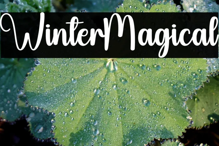 Winter Magical Example 2
