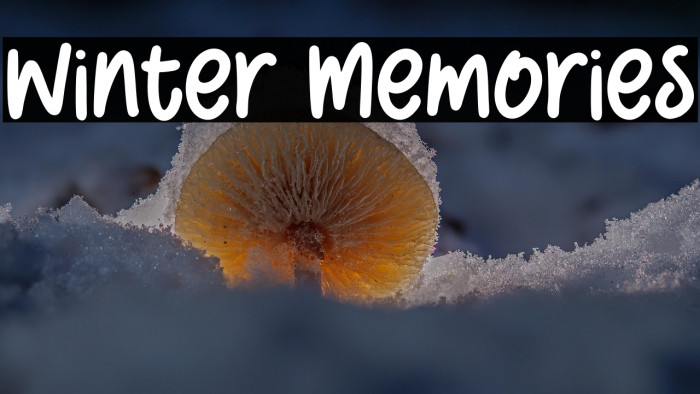 Winter Memories Example 3