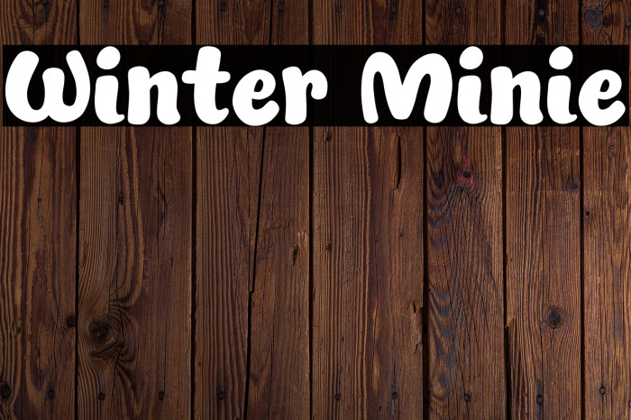 Winter Minie Example 1