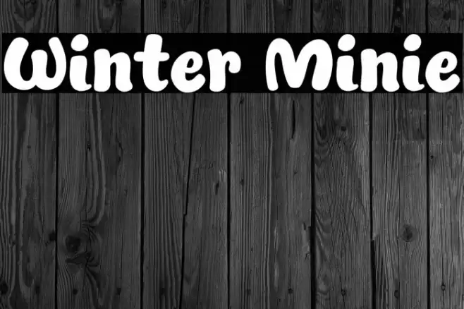 Winter Minie Font examples