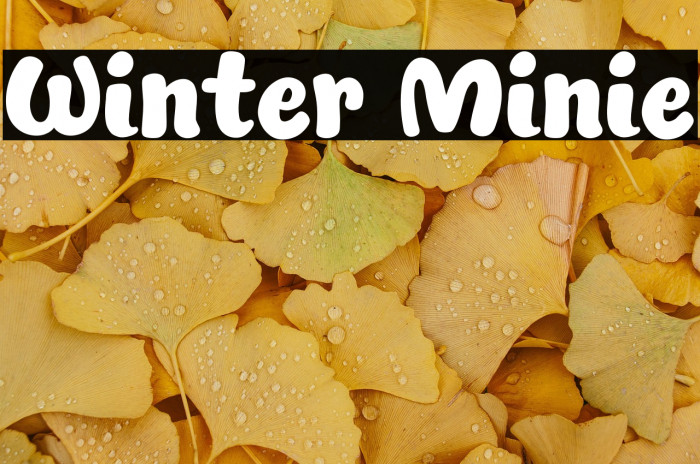 Winter Minie Example 2
