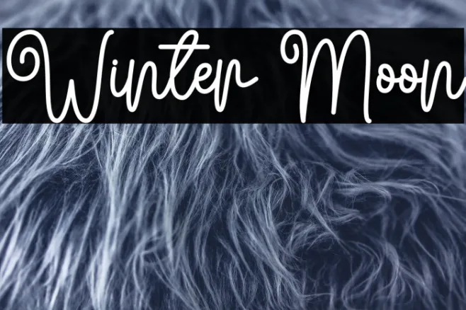 Winter Moon Example 2