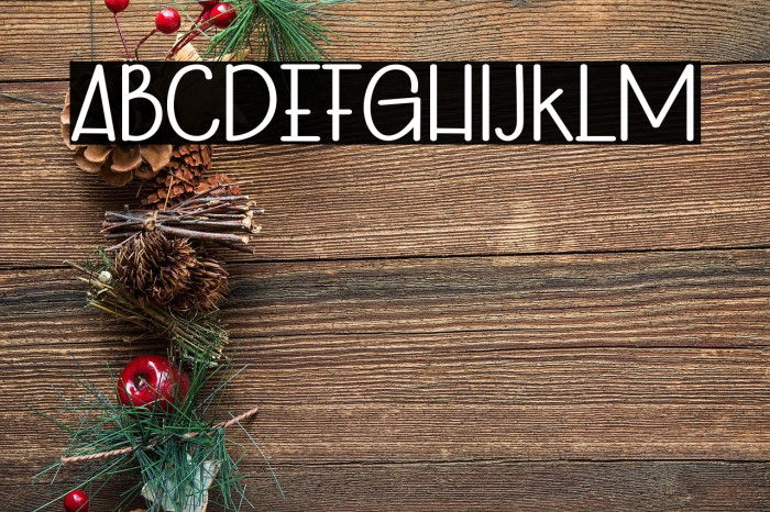 Winter Of Desember Example 2