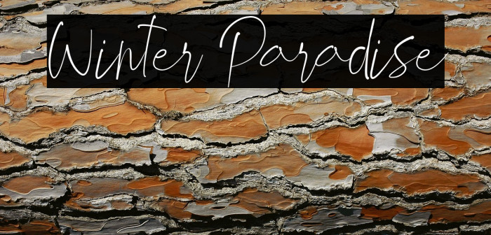 Winter Paradise Example 1