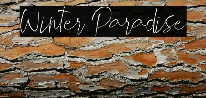 Winter Paradise Example 1
