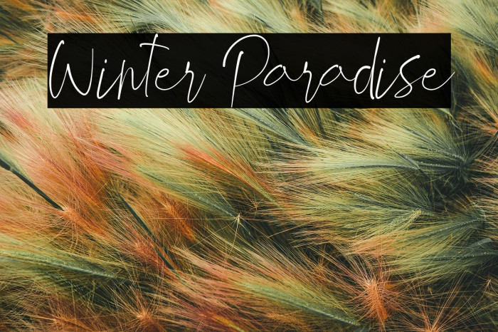 Winter Paradise Example 2