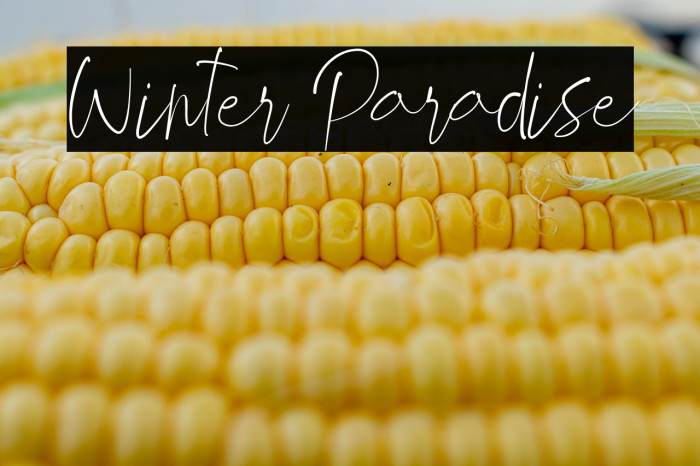 Winter Paradise Example 3