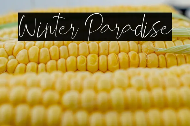 Winter Paradise Example 3