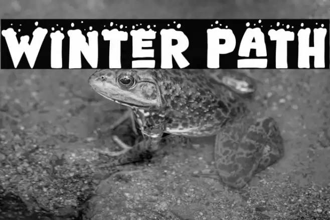 Winter Path Font examples