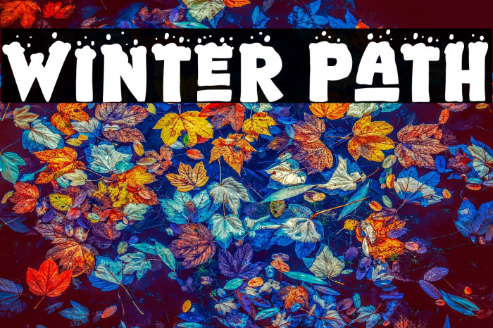 Winter Path Example 3