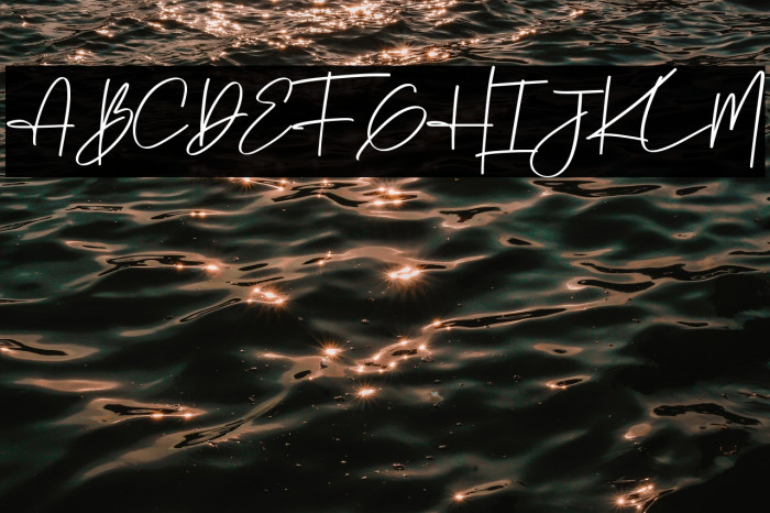 Winter Pen Example 1