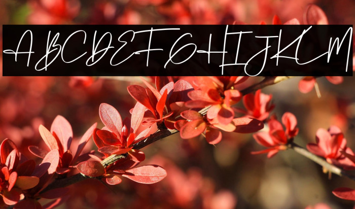 Winter Pen Example 2