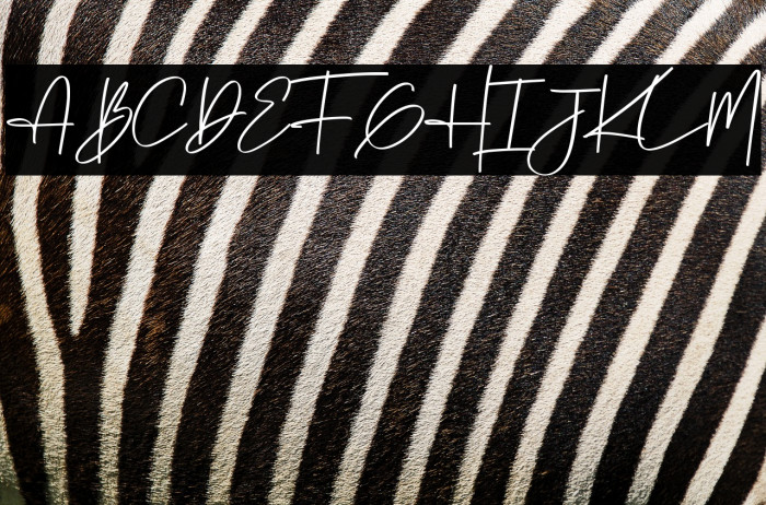 Winter Pen Example 3