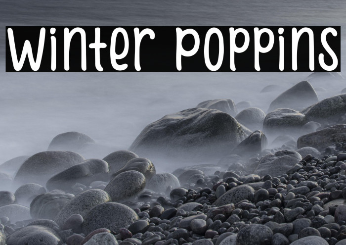 Winter Poppins Example 1
