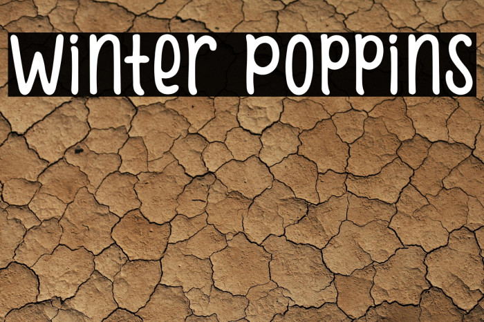 Winter Poppins Example 2