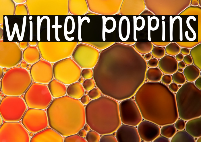 Winter Poppins Example 3