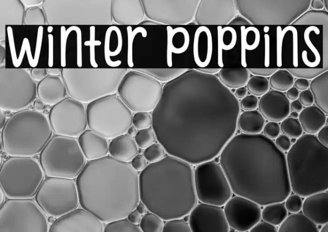 Winter Poppins Font examples