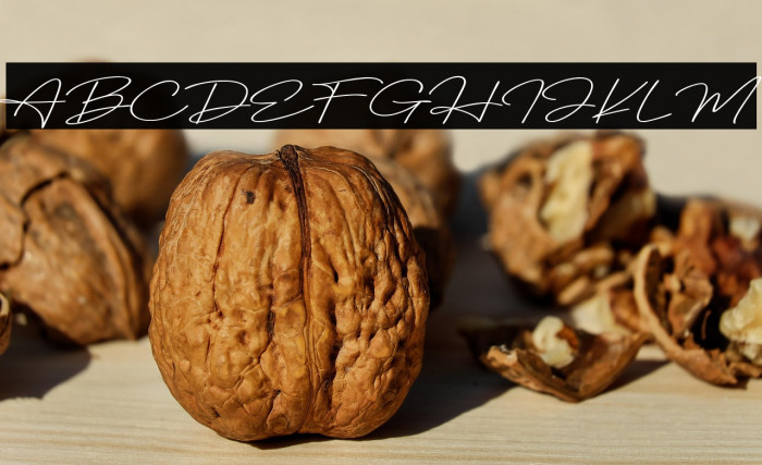 Winter Prime Monoline Example 1