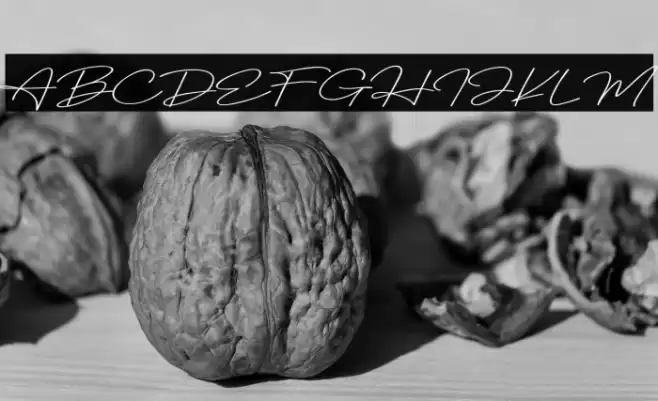 Winter Prime Monoline Schriftart examples