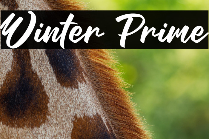 Winter Prime Example 3