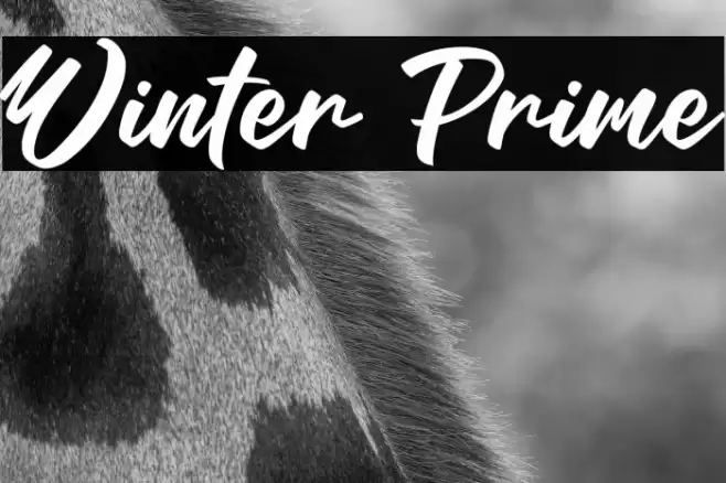 Winter Prime Caratteri examples