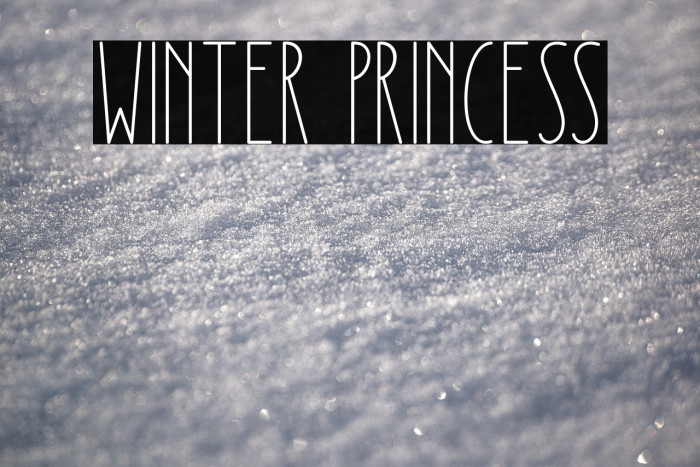 Winter Princess Example 1