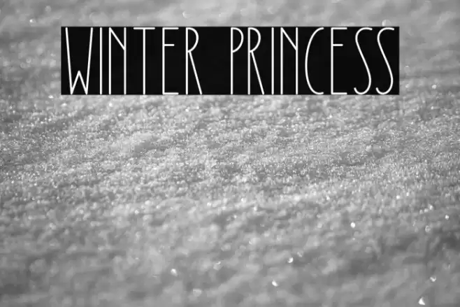 Winter Princess Font examples