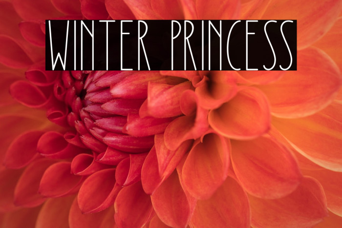 Winter Princess Example 2