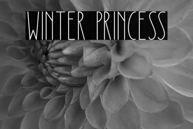Winter Princess Font examples