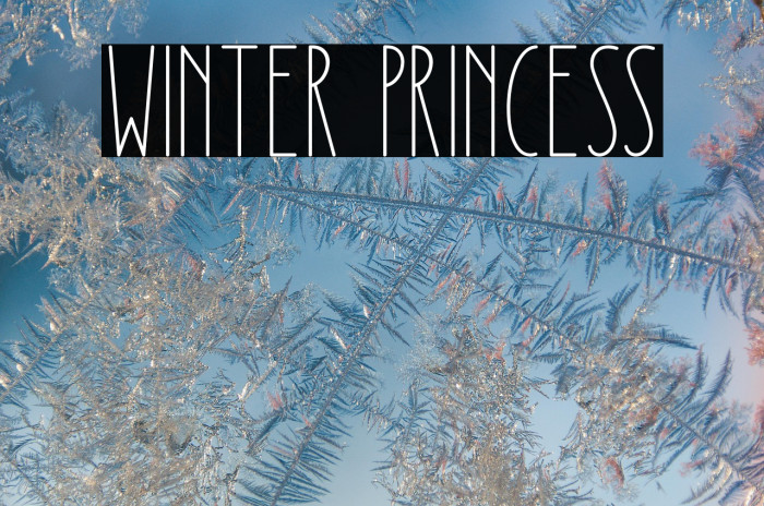 Winter Princess Example 3