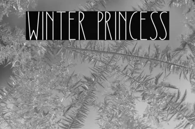 Winter Princess Font examples