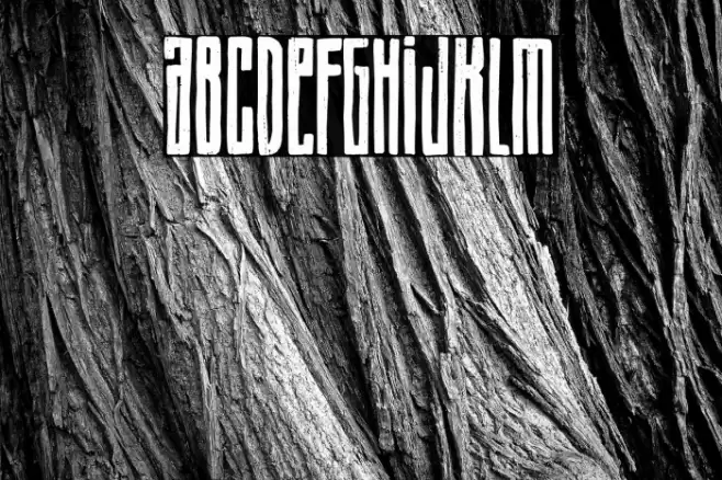 Winter Resistance Font examples