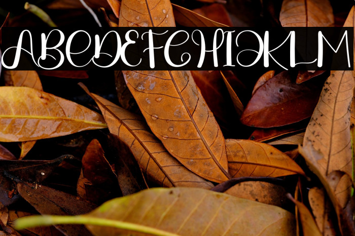 Winter Season Example 3