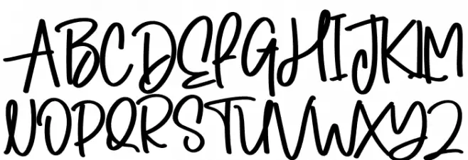 Winter Signature 字体 大写