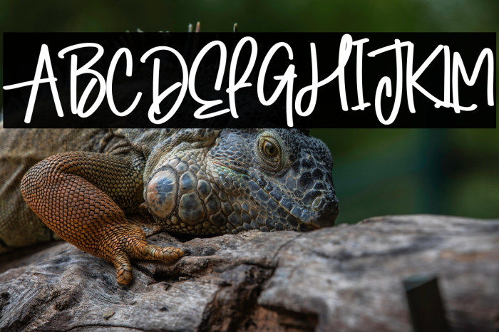 Winter Signature Example 1