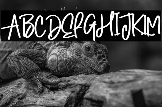 Winter Signature 字体 examples