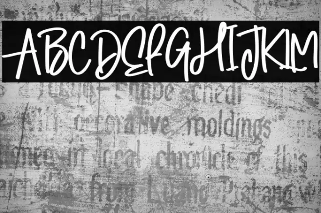 Winter Signature 字体 examples