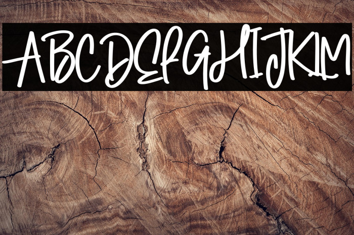 Winter Signature Example 3