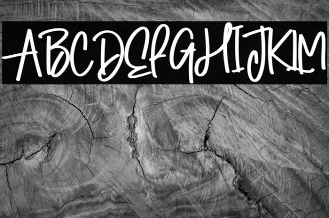 Winter Signature 字体 examples