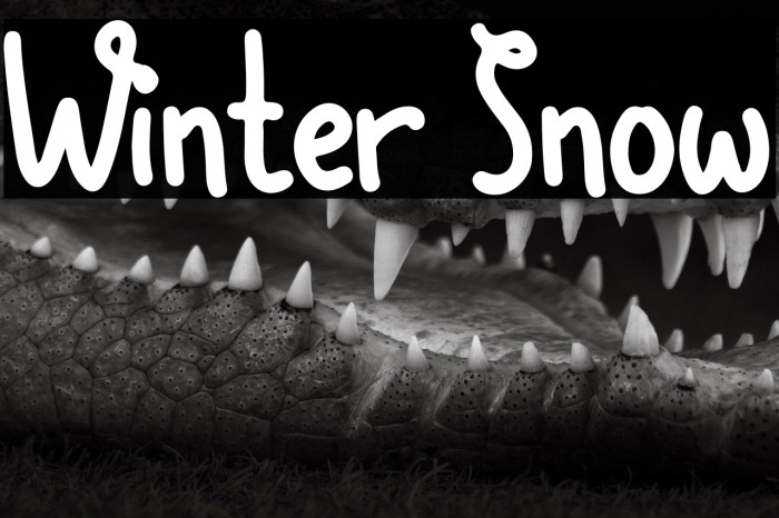 Winter Snow Example 1